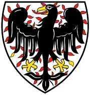 Čechové vítězní