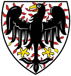 Čechové vítězní