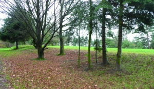 Pozůstatky nevýrazné terénní vlny