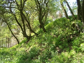 Nejlépe dochované těleso valu