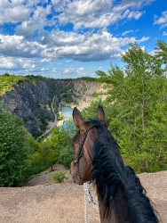 Nejkrásnější pohled na svět je z koňského hřbetu
