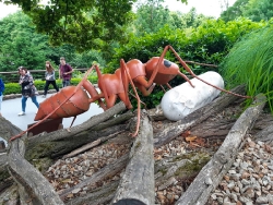 Křížem krážem mezi divokými zvířaty