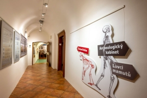 Expozice výstavy Pravěk, k tabuli!