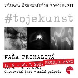 Naďa Prchalová: #tojekunst