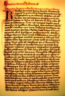 Svobody a práva židů