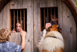 Lassie: Nové dobrodružství