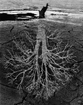 Jan Šplíchal, Z cyklu Krajiny, 1974