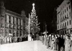 První vánoční strom v republice