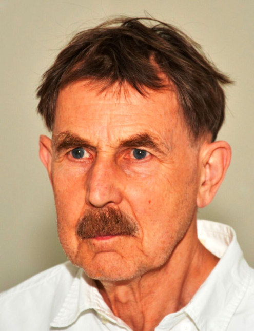 Architekt Vlado Milunić, 2017