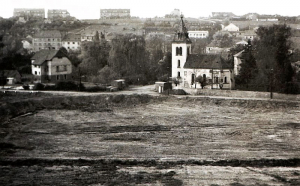 Severní část Hamerského rybníku