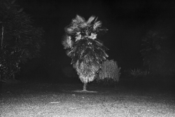 Mojmír Bureš – Proces