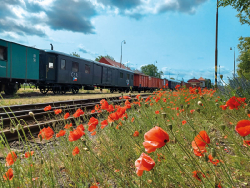 Legiovlak – nejúspěšnější pojízdné muzeum v republice