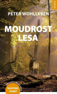 Moudrost lesa